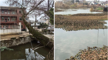 痛心！福州闽清4名儿童不幸溺亡