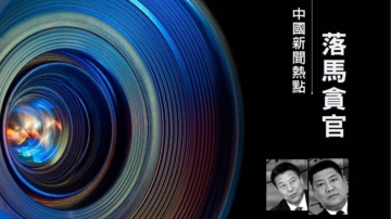 海南副廳長董長青 內蒙政法委書記譚景峯落馬