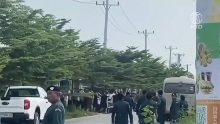 柬埔寨掃蕩園區被批走形式 杜絕不了電詐