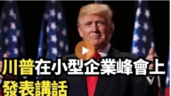 【直播】川普在小型企业峰会上发表讲话