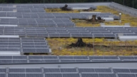 歐盟出手 中資太陽能零件遭斷資
