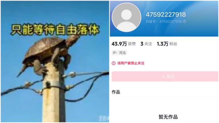「電線桿頂上的烏龜」暗諷誰？ 抖音視頻被封殺