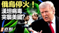 【新闻直击】俄乌停火！汉坦病毒 突袭美国？