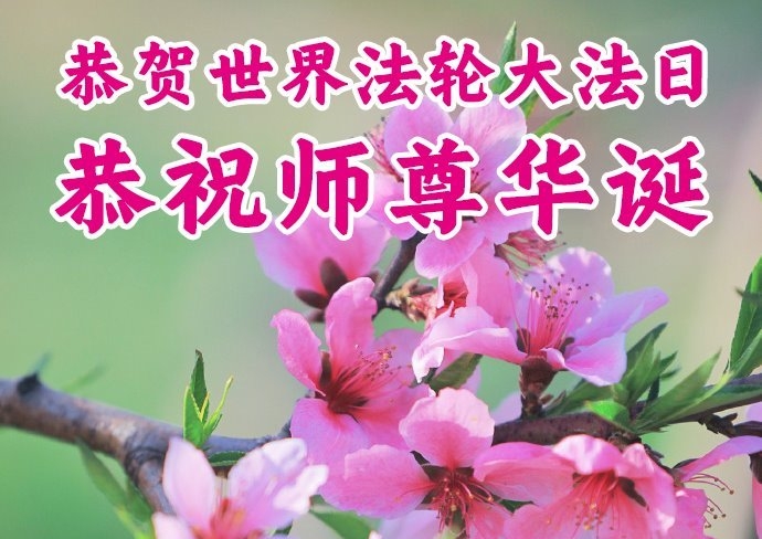 河南、湖北法轮功学员庆祝世界法轮大法日(113条)