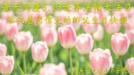 大法小弟子庆祝世界法轮大法日(18条)