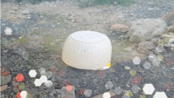 蹊蹺！杭州一花圃老闆地裡「長出」4萬現金