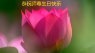 山东法轮功学员庆祝世界法轮大法日(124条)