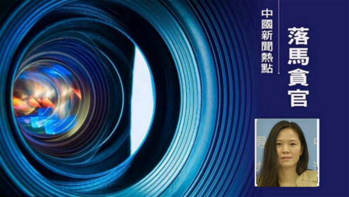 違規炒股 侄子作白手套 河南證監局女官被起訴