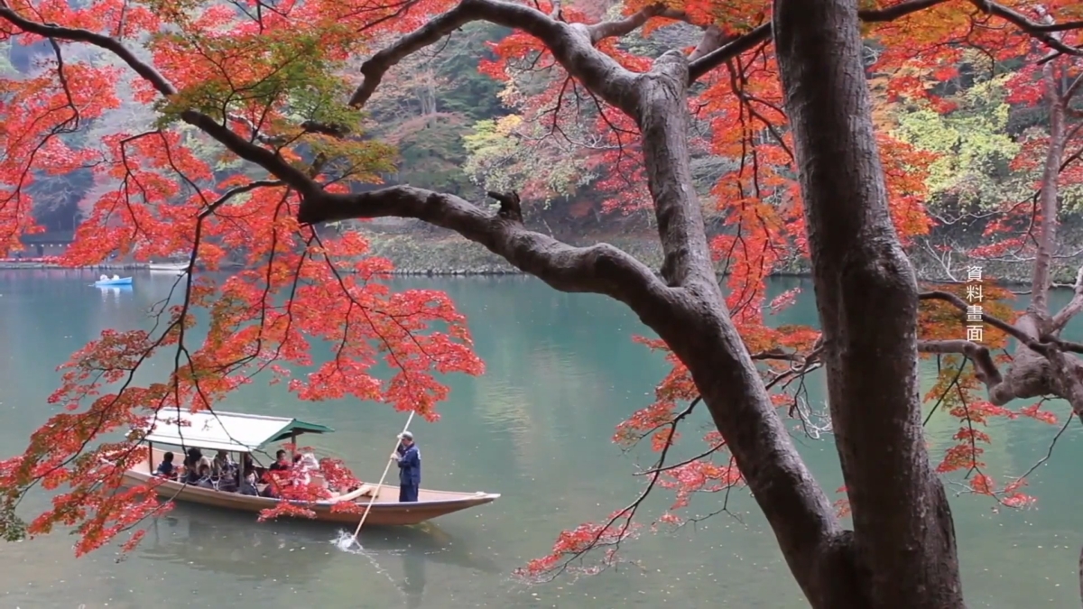 【禁闻】中共抵制赴日旅游 日本观光业强劲增长