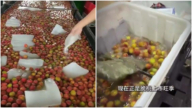 还能吃吗? 大陆荔枝脆桃也泡药水(多视频)