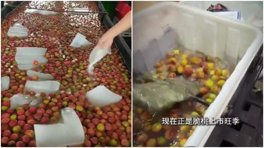 還能吃嗎? 大陸荔枝脆桃也泡藥水(多視頻)