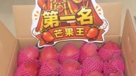 屏東愛文芒果評鑑冠軍出爐!甜度飆逼17度