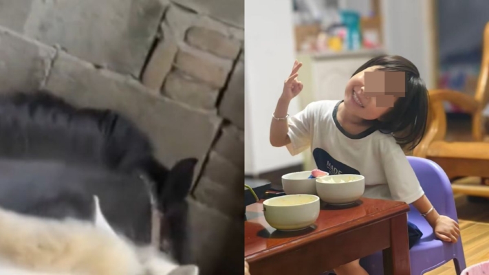 悲痛！中國5歲女童遭馬韁繩繞頸拖行2公里慘死