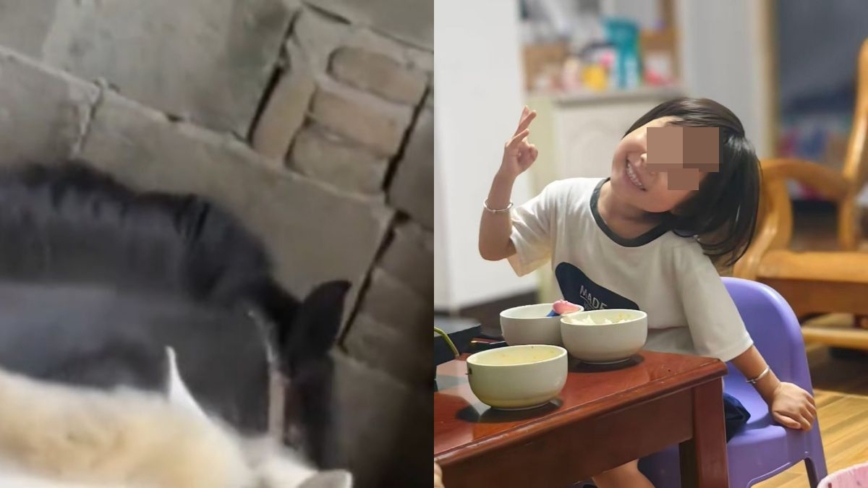 悲痛!中國5歲女童遭馬韁繩繞頸拖行2公里慘死