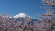 富士山沉睡300年 專家示警恐突然噴發
