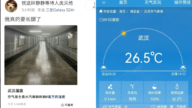 “要长出腮了”  中国多省湿度异常 超亚马孙热带雨林