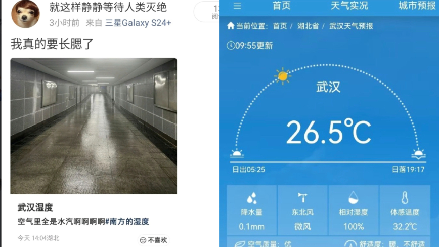 “要长出腮了” 中国多省湿度异常 超亚马孙热带雨林