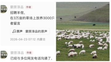 内蒙无人区招2名羊倌 全国700人报名1成是大学生