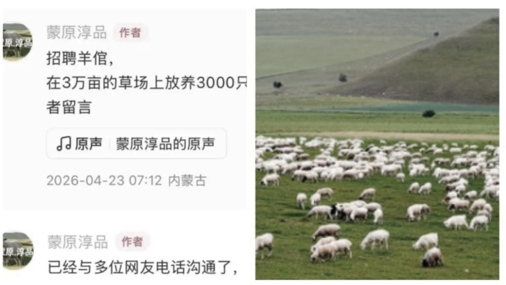 內蒙無人區招2名羊倌 全國700人報名1成是大學生