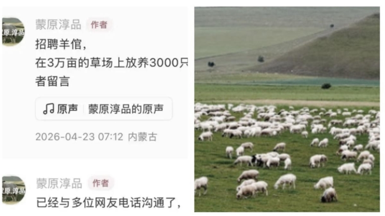 內蒙無人區招2名羊倌 全國700人報名1成是大學生