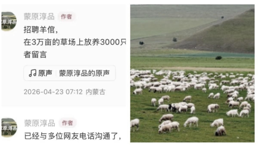 內蒙無人區招2名羊倌 全國700人報名1成是大學生