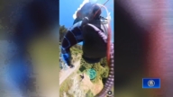 半空惊魂！小飞机撞上滑翔伞 最后一刻成功自救