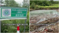 湖北博主直播:飲用水源旁邊 就是鷄糞填埋場