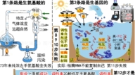 進化騙局(26) 一鍋合理 自曝無理