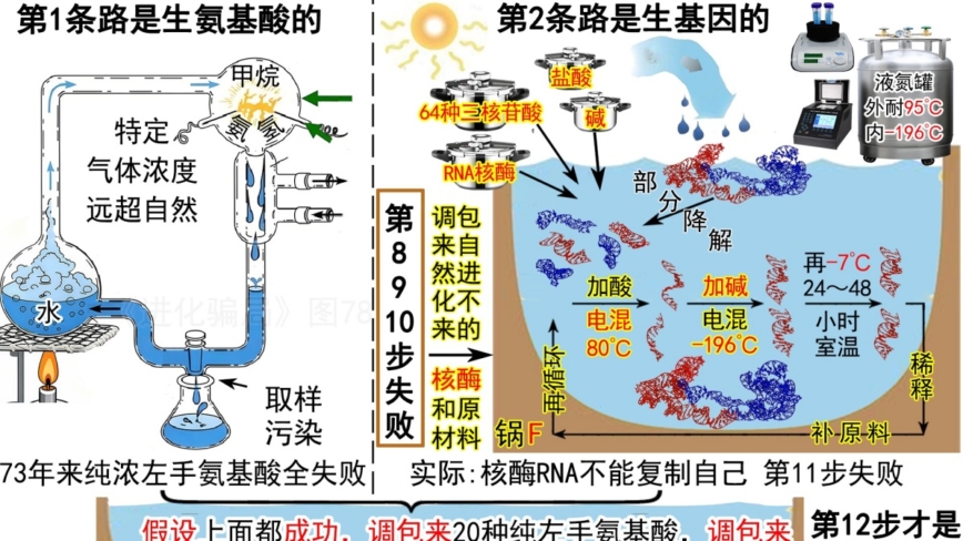 进化骗局(26) 一锅合理 自曝无理