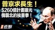 【新聞直擊】普京求長生 $260億計畫曝光 俄襲北約挨重拳！