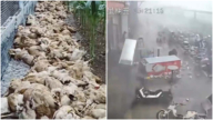 水深火熱!廣東酷暑加狂風暴雨宛如末日(視頻)
