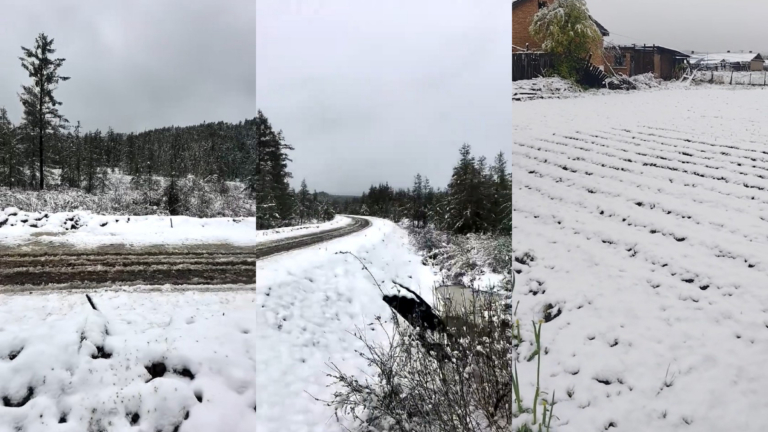 中國異象頻現 內蒙古、黑龍江驚現六月飛雪(多視頻)