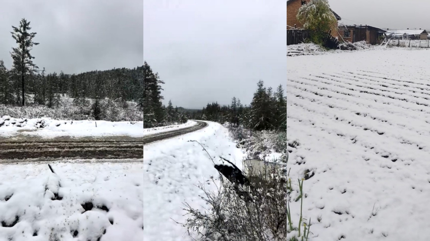 中國異象頻現 內蒙古、黑龍江驚現六月飛雪(多視頻)