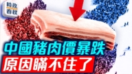 【时政春秋】中国猪肉价格跌回2010年 真实原因瞒不住了