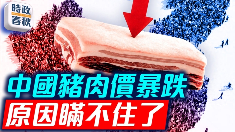 【時政春秋】中國豬肉價格跌回2010年 真實原因瞞不住了