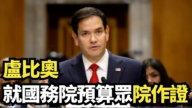 【直播】卢比奥就国务院预算众院作证