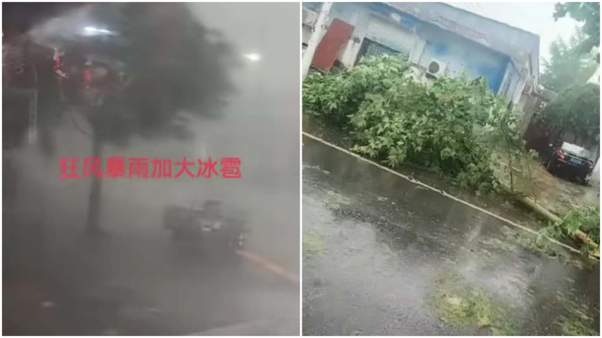 11級狂風加暴雨冰雹襲保定 吹倒行人拔起大樹(視頻)