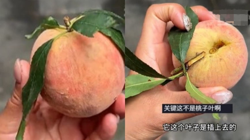 云南女子买桃被骗：叶子全是插上去的