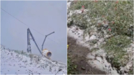北京六月飛雪 衝上熱搜（視頻）