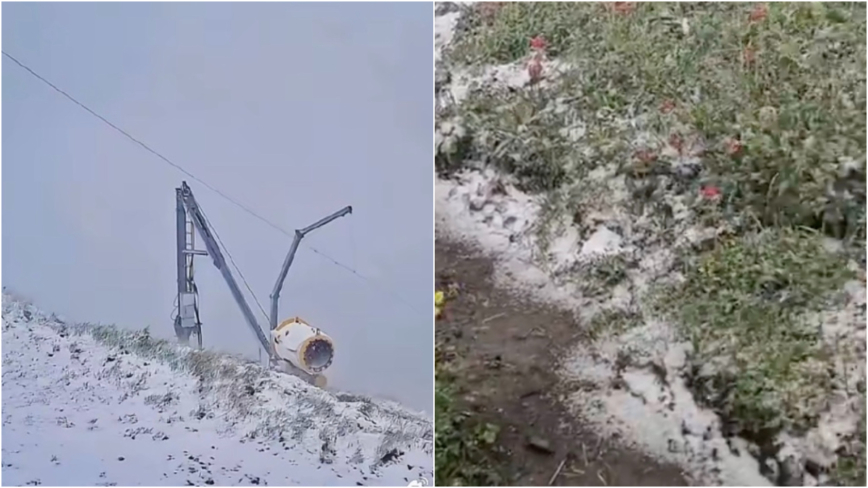 北京六月飛雪 衝上熱搜(視頻)