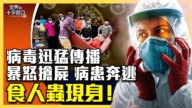 【十字路口】埃博拉病毒非洲傳播 家屬搶屍