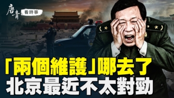 唐青看時事