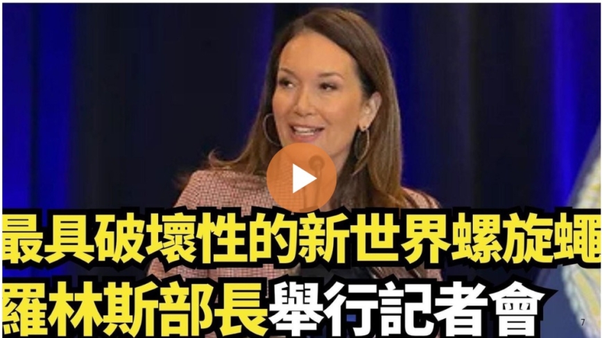 【直播】最具破壞性的新世界螺旋蠅 羅林斯部長舉行記者會