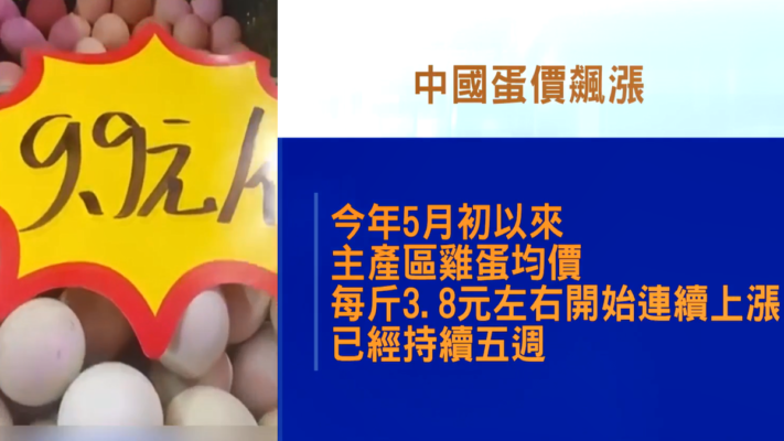 端午節前中國蛋價飆漲 養殖戶曝內情