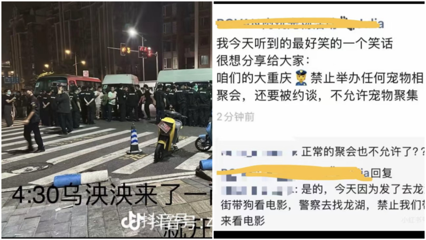 重庆抗议虐狗事件:当局后半夜抓人 取消宠物聚集活动