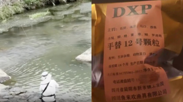 你吃的魚可能吃過安眠藥 中國釣魚圈黑幕曝光