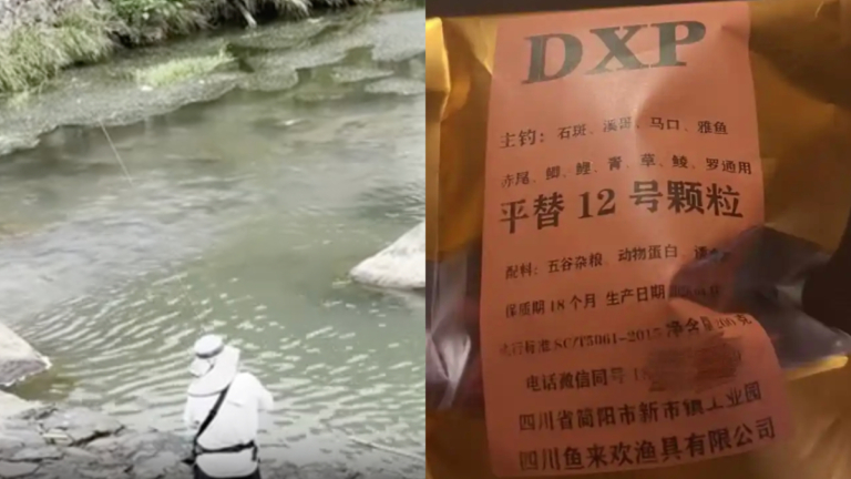 你吃的魚可能吃過安眠藥 中國釣魚圈黑幕曝光