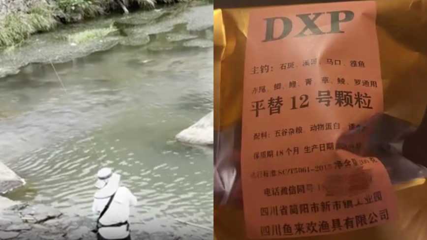 你吃的魚可能吃過安眠藥 中國釣魚圈黑幕曝光