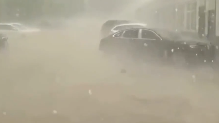 廣東暴雨 洪水淹至胸口 陸豐近萬村民被困