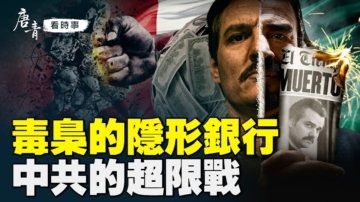 唐青看时事